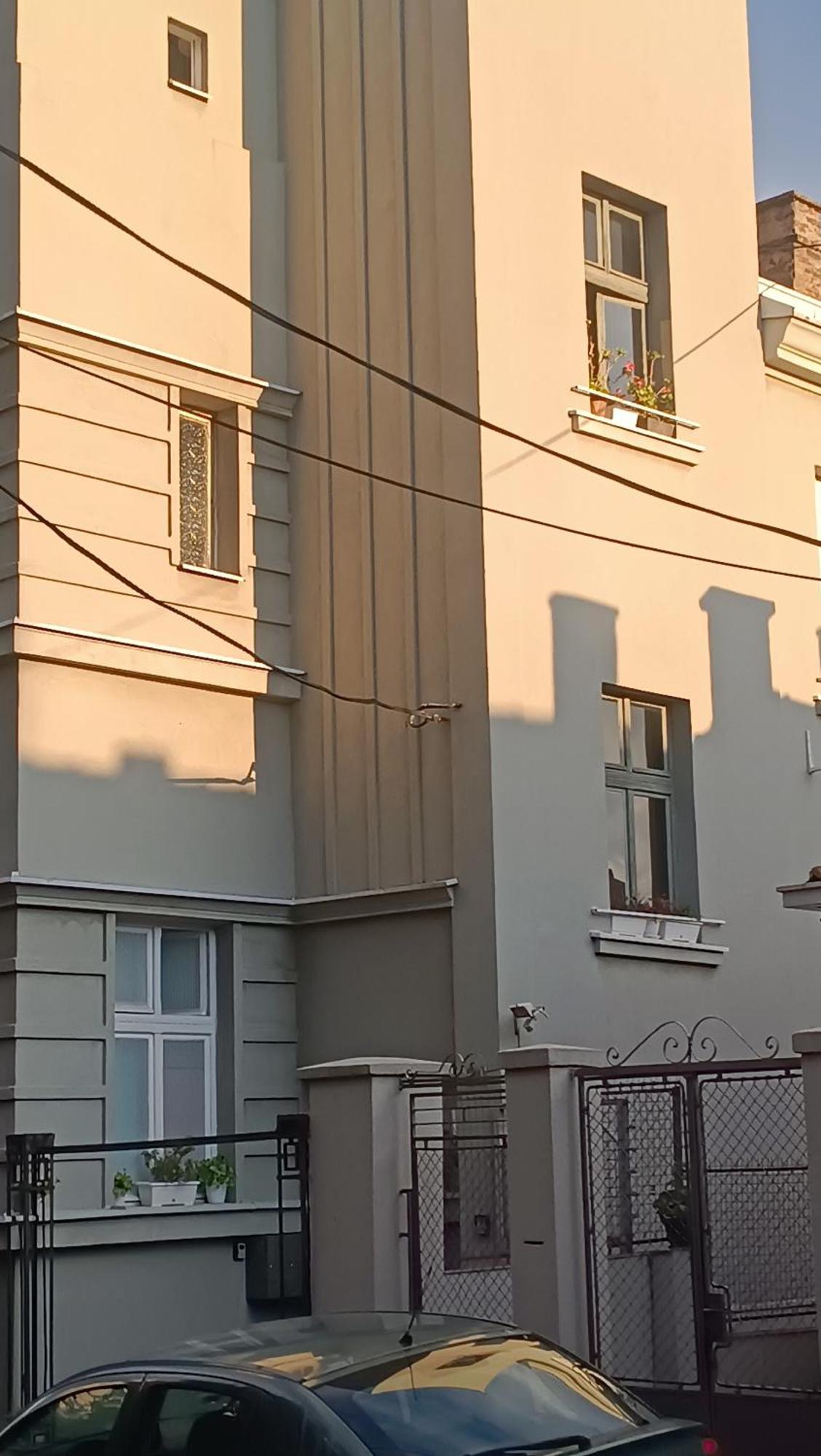 Jelena Apartment Beograd Eksteriør billede