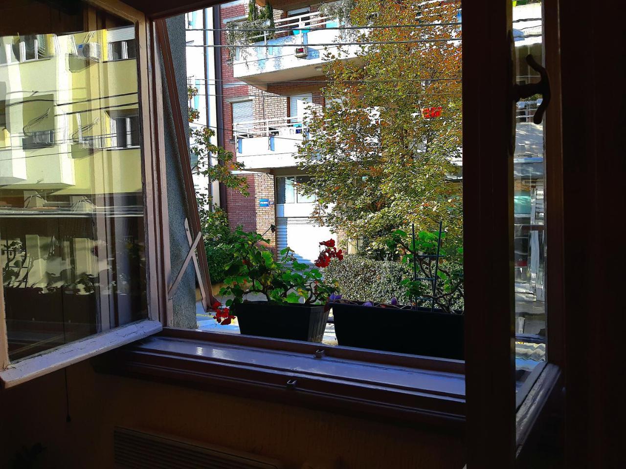 Jelena Apartment Beograd Eksteriør billede